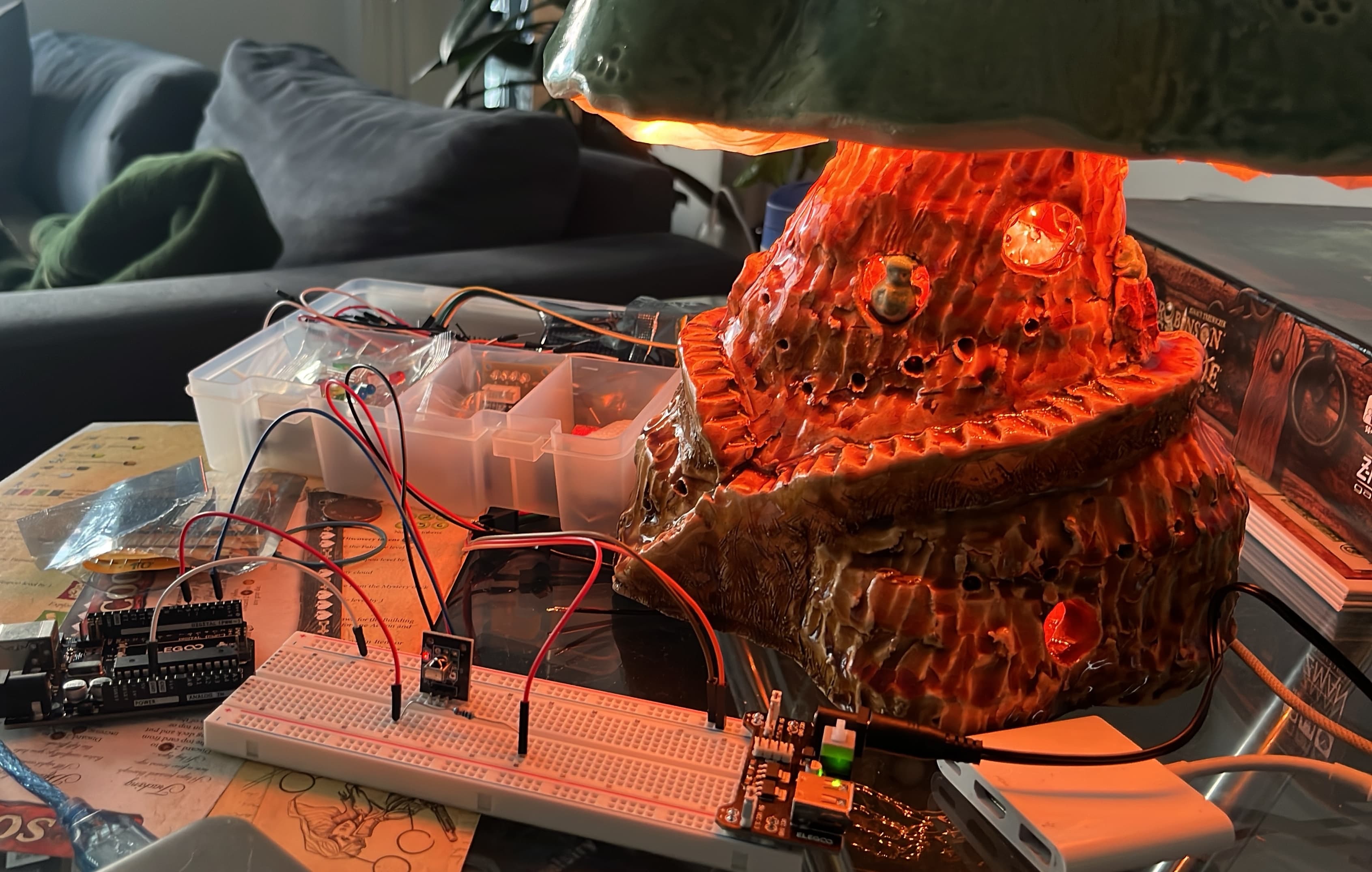 Cover Image for The Art of Making a Start